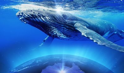 You are Paradigm Shifters!~ Cosmic Whale Grandmothers