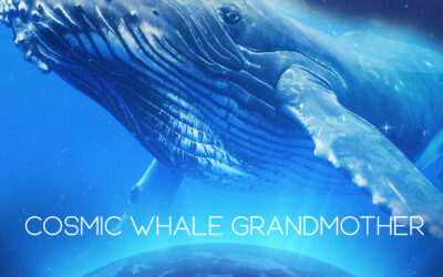 Meet the Cosmic Whale Grandmothers