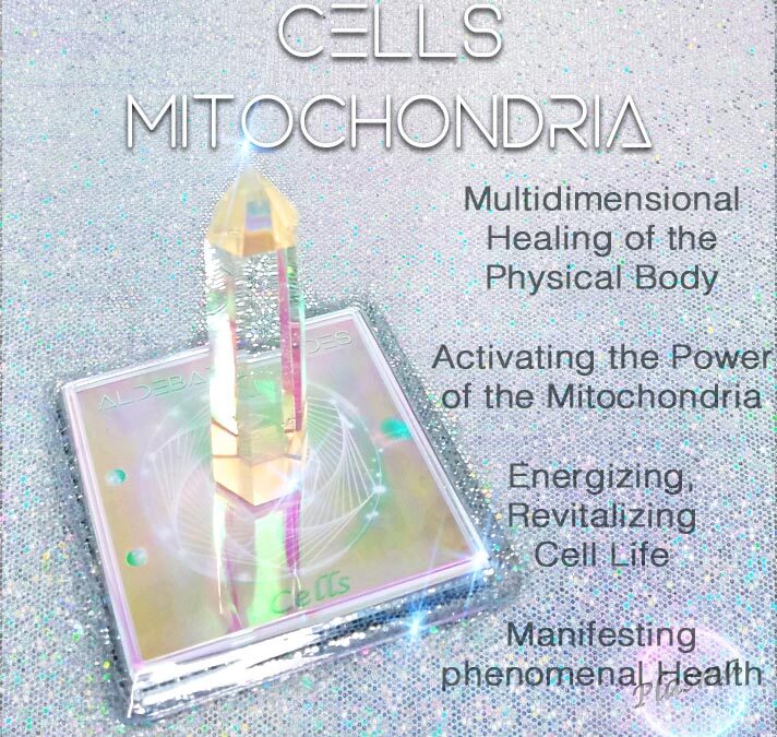 Mighty Mitochondria, Plasma Pillars and Sacred Tools