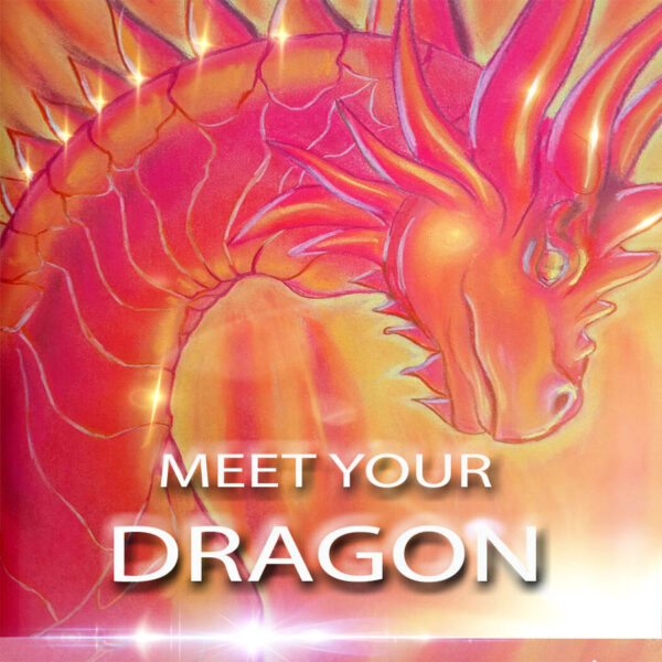 MEET YOUR DRAGON email reading