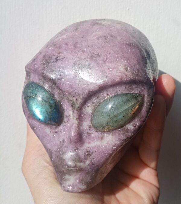 Antarian Protector ~ Lepidolite - Image 7