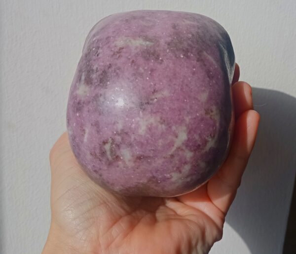 Antarian Protector ~ Lepidolite - Image 8