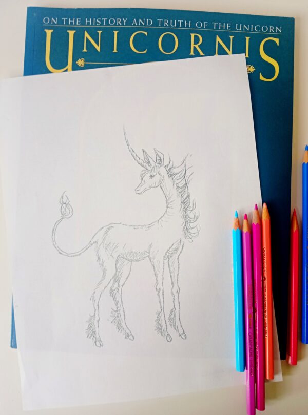 COLOR YOUR UNICORN ~ kit - Image 3