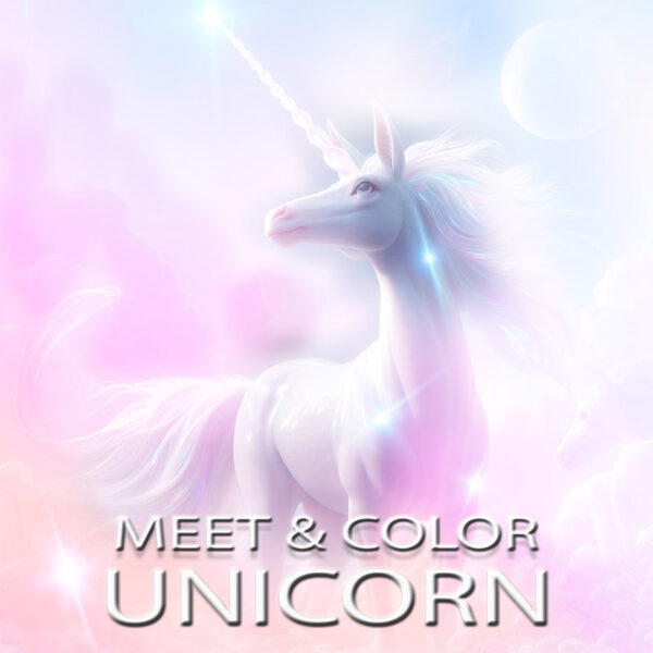 COLOR YOUR UNICORN ~ kit